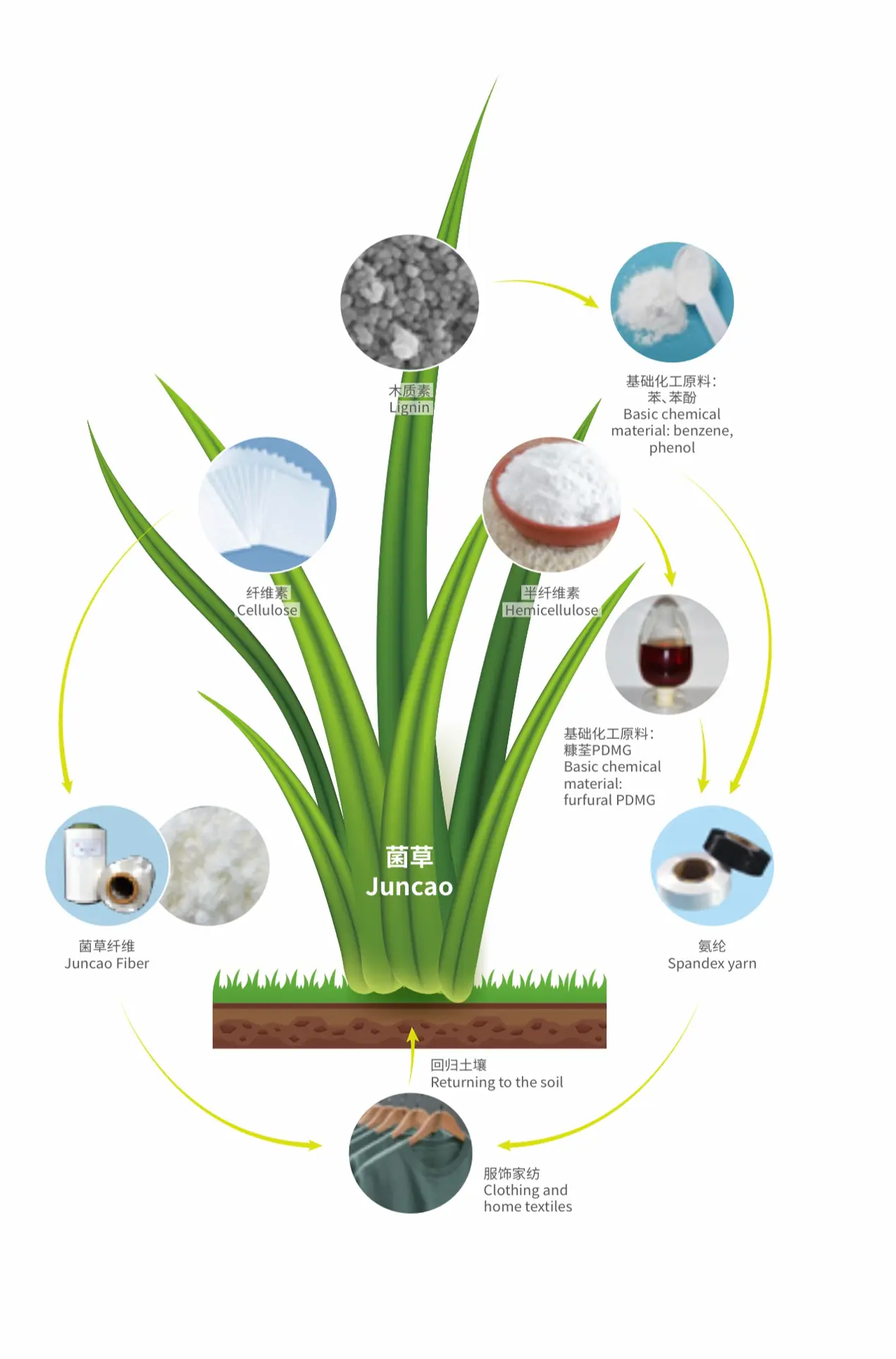 Say Goodbye to Sweaty Nights: The Revolutionary Fiber Reinventing Your Sleep